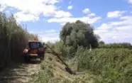 Photo des fossés non récurés sur le territoir de la commune de cailloux sur fontaines